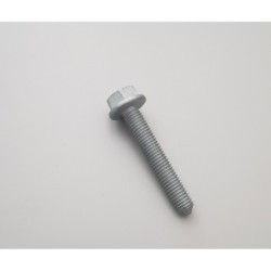 n10640801 originele schroef N0195461