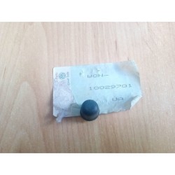 n10029701 capuchón ORIGINAL