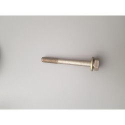 N10083301 genuine bolt