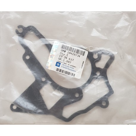 24428734 Gasket, Water pump, Timing chain kit 1334637