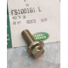 FS108181L Vis d'origine du rover d'origine