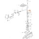 867711238 Original Interior Ring