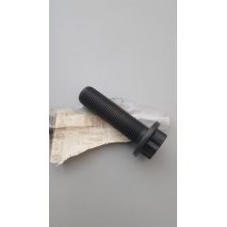 WHT004573 tornillo original vag