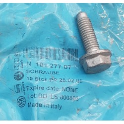 N10127707 ORIGINAL SCREW VAG