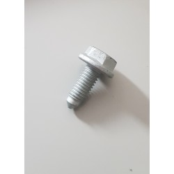 N01953310 hexagonal screw with original collar