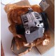 ALTERNADOR 6204118