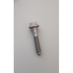 n0195042 Hex Collared Bolt original