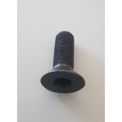 06D109281D TORNILLO ORIGINAL