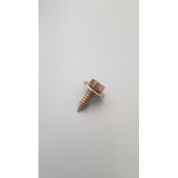 SCHRAUBE 311821143 Original