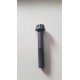 N10013401 tornillo dodecagonal original vag