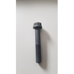 N10013401 original vag dodecagonal screw