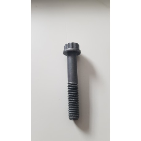 N10013401 tornillo dodecagonal original vag